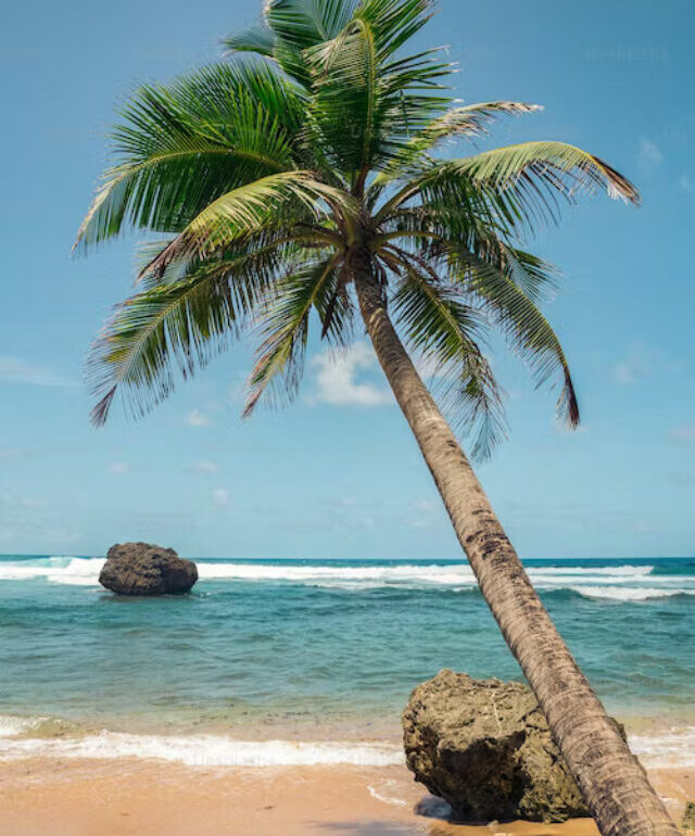 Caribbean beach site