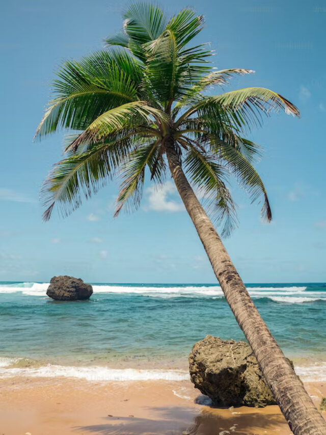 Top 5 Best Caribbean Islands For First Timers